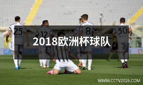 2018欧洲杯球队