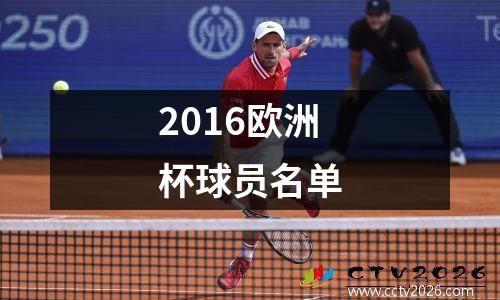 2016欧洲杯球员名单