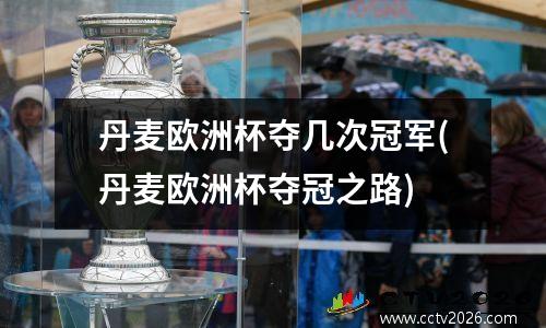 丹麦欧洲杯夺几次冠军(丹麦欧洲杯夺冠之路)