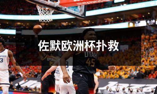 佐默欧洲杯扑救
