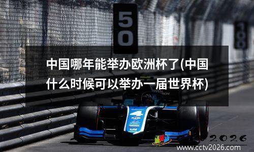 中国哪年能举办欧洲杯了(中国什么时候可以举办一届世界杯)