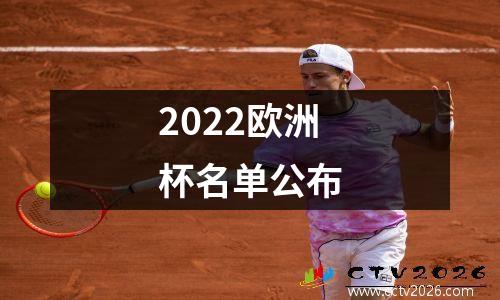 2022欧洲杯名单公布