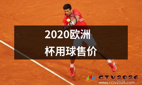 2020欧洲杯用球售价