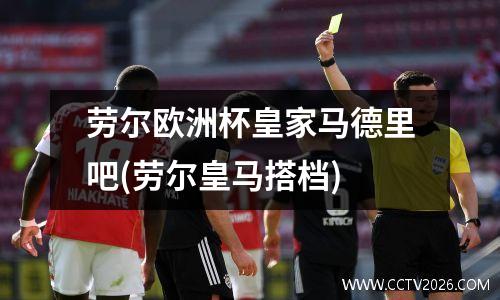 劳尔欧洲杯皇家马德里吧(劳尔皇马搭档)