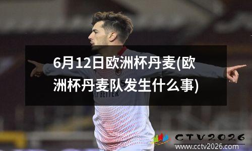 6月12日欧洲杯丹麦(欧洲杯丹麦队发生什么事)