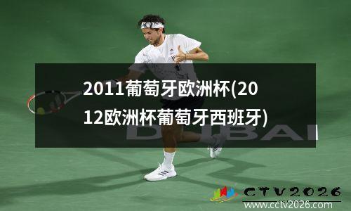 2011葡萄牙欧洲杯(2012欧洲杯葡萄牙西班牙)