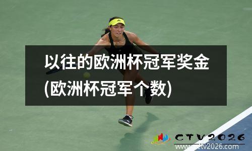 以往的欧洲杯冠军奖金(欧洲杯冠军个数)