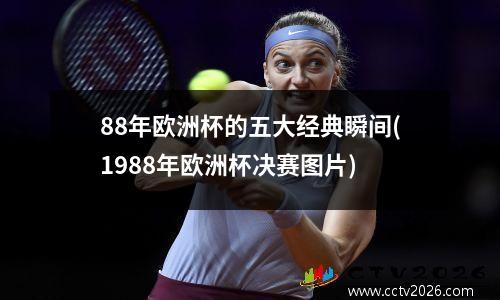 88年欧洲杯的五大经典瞬间(1988年欧洲杯决赛图片)
