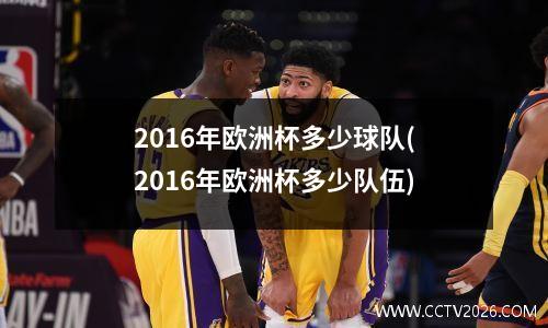2016年欧洲杯多少球队(2016年欧洲杯多少队伍)