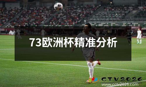 73欧洲杯精准分析