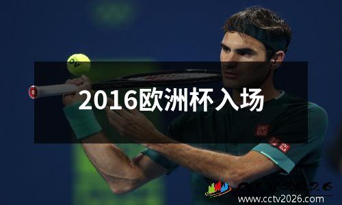 2016欧洲杯入场