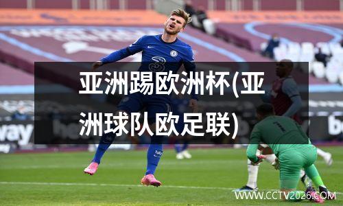 亚洲踢欧洲杯(亚洲球队欧足联)