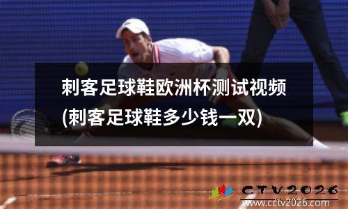 刺客足球鞋欧洲杯测试视频(刺客足球鞋多少钱一双)