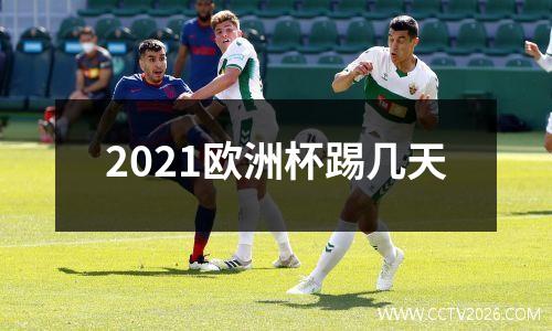 2021欧洲杯踢几天