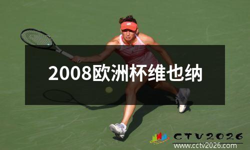 2008欧洲杯维也纳