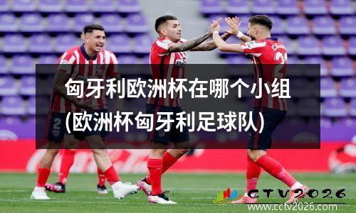 匈牙利欧洲杯在哪个小组(欧洲杯匈牙利足球队)