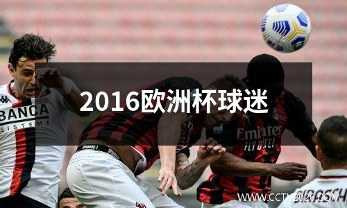 2016欧洲杯球迷