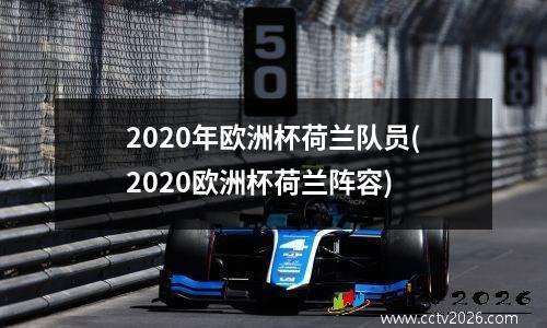 2020年欧洲杯荷兰队员(2020欧洲杯荷兰阵容)