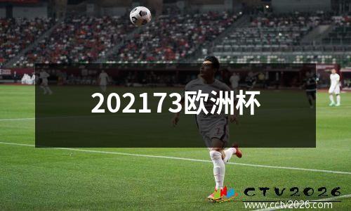 202173欧洲杯