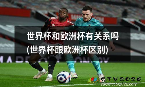 世界杯和欧洲杯有关系吗(世界杯跟欧洲杯区别)
