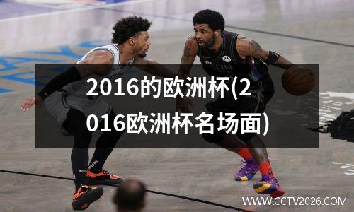 2016的欧洲杯(2016欧洲杯名场面)