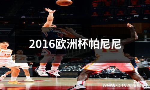 2016欧洲杯帕尼尼