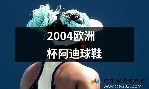 2004欧洲杯阿迪球鞋