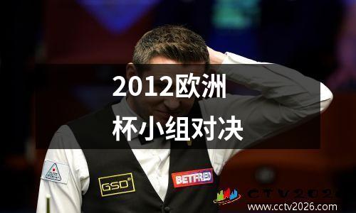2012欧洲杯小组对决