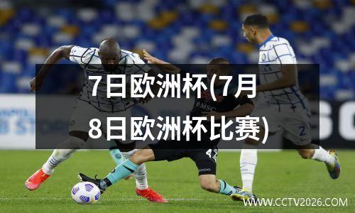 7日欧洲杯(7月8日欧洲杯比赛)
