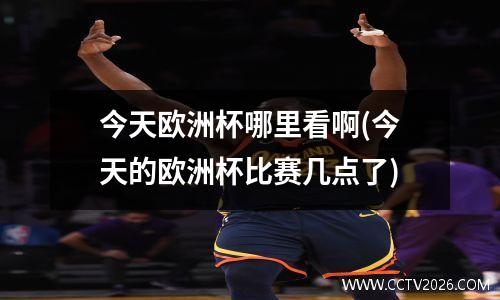 今天欧洲杯哪里看啊(今天的欧洲杯比赛几点了)