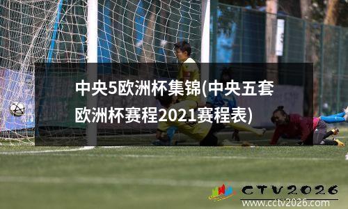 中央5欧洲杯集锦(中央五套欧洲杯赛程2021赛程表)