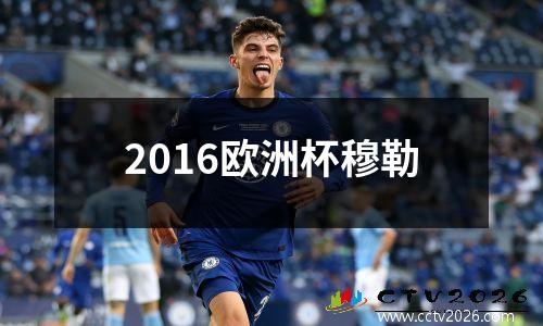 2016欧洲杯穆勒