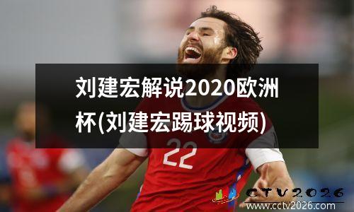 刘建宏解说2020欧洲杯(刘建宏踢球视频)