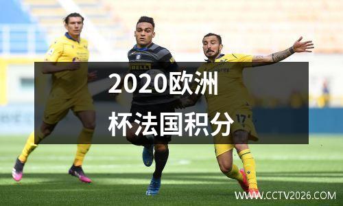 2020欧洲杯法国积分