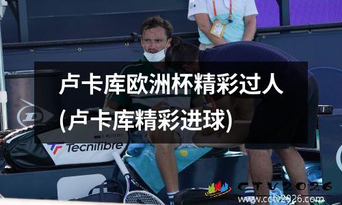 卢卡库欧洲杯精彩过人(卢卡库精彩进球)