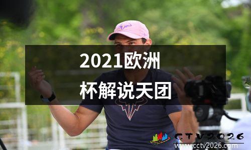 2021欧洲杯解说天团