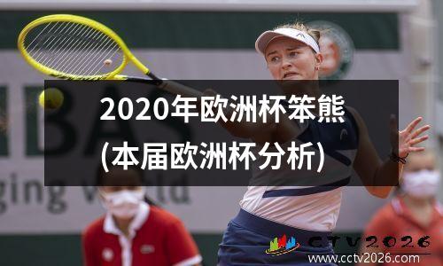 2020年欧洲杯笨熊(本届欧洲杯分析)
