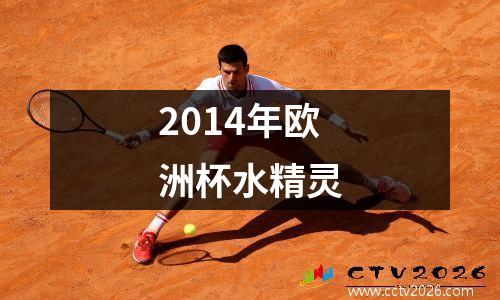 2014年欧洲杯水精灵