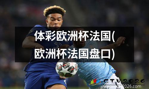体彩欧洲杯法国(欧洲杯法国盘口)