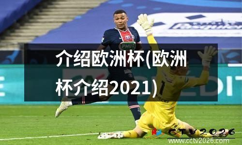 介绍欧洲杯(欧洲杯介绍2021)