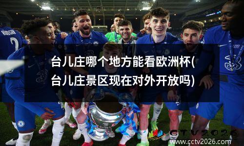台儿庄哪个地方能看欧洲杯(台儿庄景区现在对外开放吗)