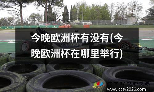今晚欧洲杯有没有(今晚欧洲杯在哪里举行)