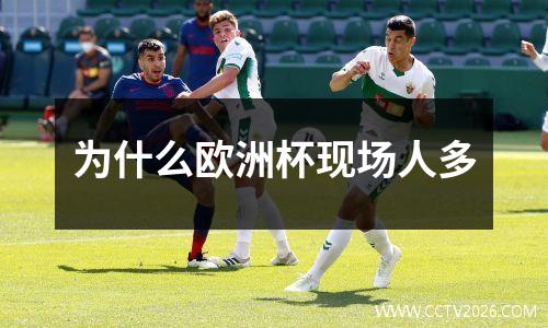 为什么欧洲杯现场人多