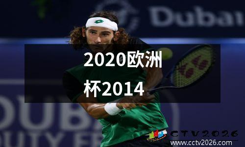 2020欧洲杯2014