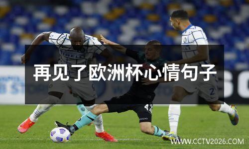 再见了欧洲杯心情句子
