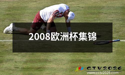 2008欧洲杯集锦