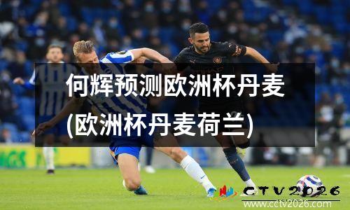 何辉预测欧洲杯丹麦(欧洲杯丹麦荷兰)