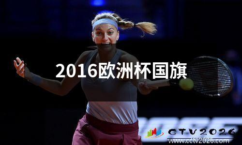 2016欧洲杯国旗