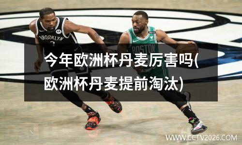 今年欧洲杯丹麦厉害吗(欧洲杯丹麦提前淘汰)