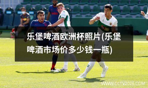 乐堡啤酒欧洲杯照片(乐堡啤酒市场价多少钱一瓶)